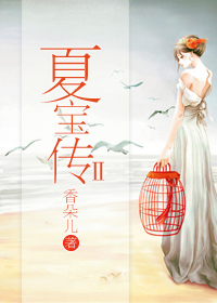 夏宝传Ⅱ